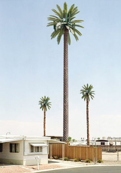 30米仿真椰子树