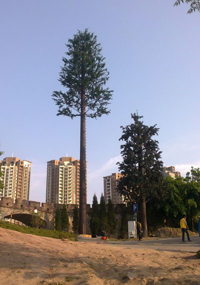 美化树