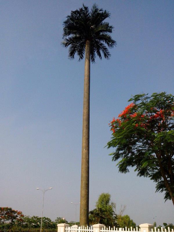 仿真椰树通信塔