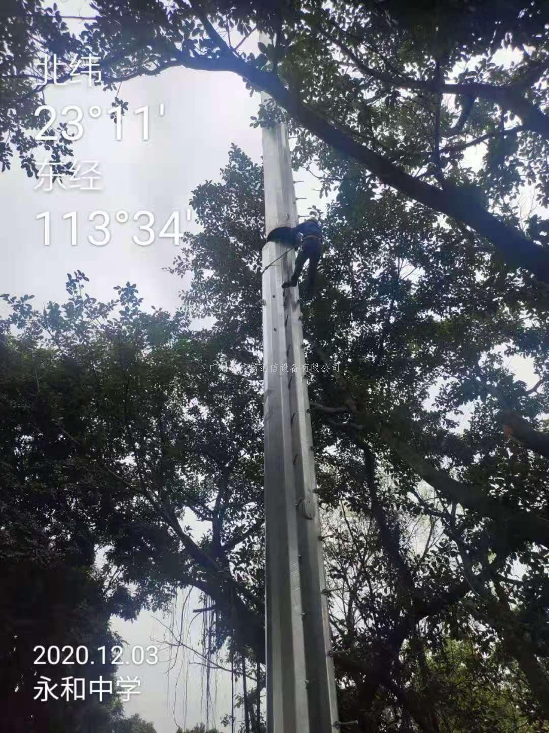 仿真树,工艺领先,造型逼真,品种丰富,质量保证,经久不衰!