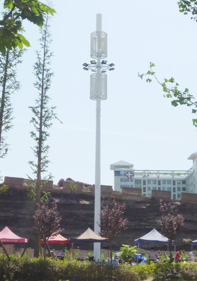 四川内江美化树美化杆美化天线杆通讯杆塔项目验收现场