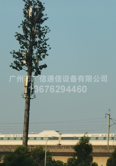 30米美化树