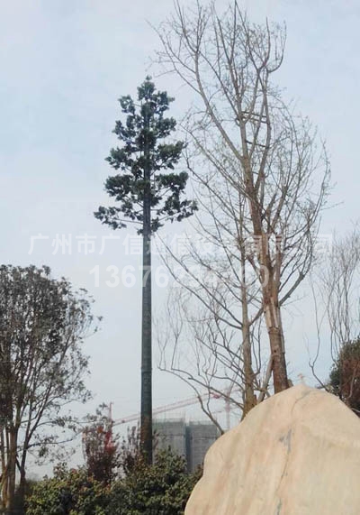 景观树