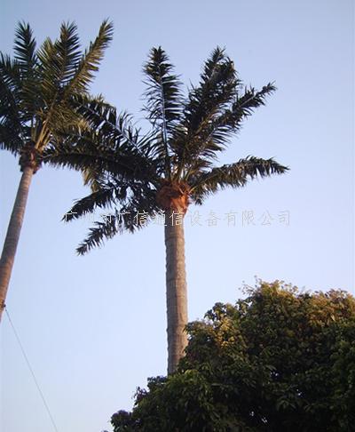 仿生树、仿真棕榈树可以美化城市又可安装通信天线的好产品