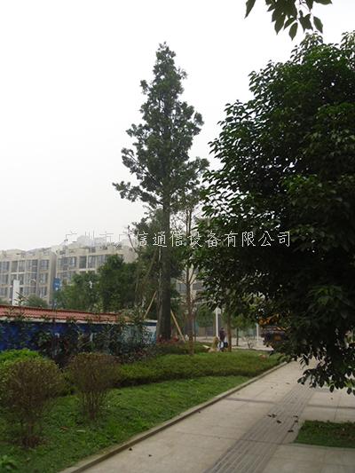 美化树、仿生树、假树就找广信，质量过硬，验收省心！