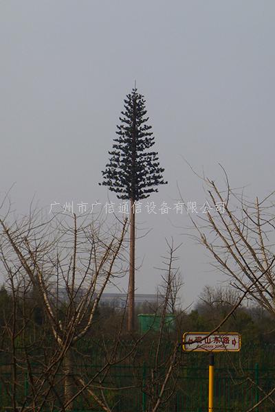 美化树生产过程记录